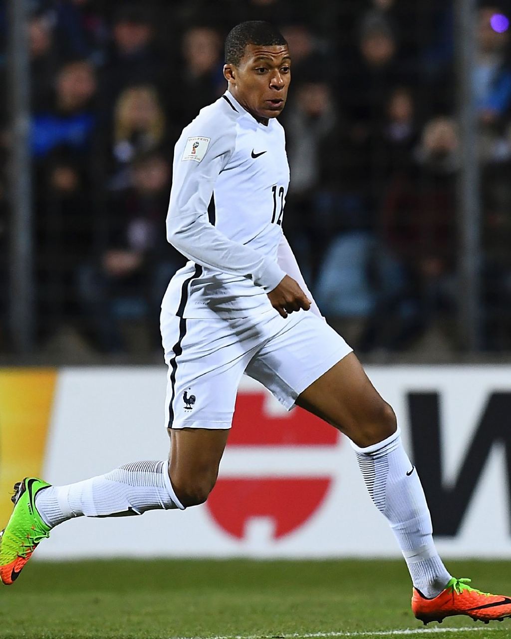 decision-path-evolution